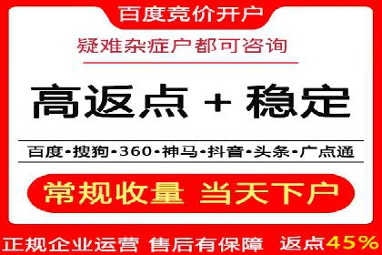 精准投放，高效转化：关键词竞价排名案例解析